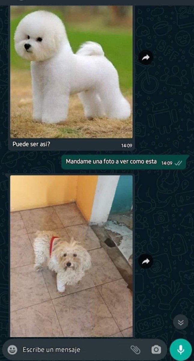 martina (@martussustaita) on Twitter photo 