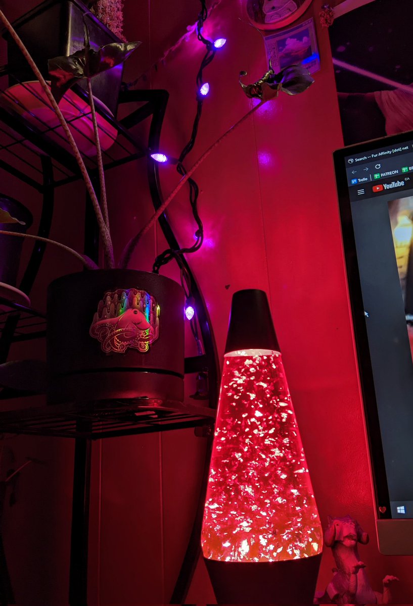 teelatauntaun's tweet image. Man I am in love with this beautiful sticker I got from #halcon2022, I never got a card from the artist though ;; but it&apos;s absolutely gorgeous on my stingray alocasia&apos;s pot 🐙