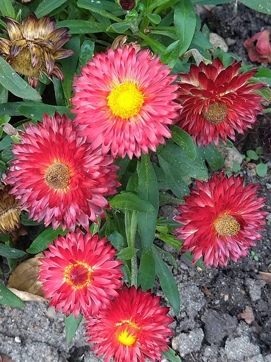 Guten Morgen ihr Lieben ♥ 😊 🤗 ☕ ☕. Einen entspannten Dienstag wünsche ich euch 😊. Passt auf euch auf und bleib gesund 🍀 ☀️👍