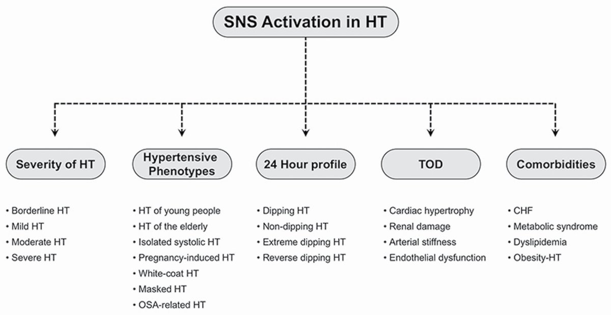 Given the promising results of SPYRAL HTN ON MED, check out this review on the role of the sympathetic nervous system in #hypertension academic.oup.com/ajh/article/34…

#OpenAccess #Free #AHA22