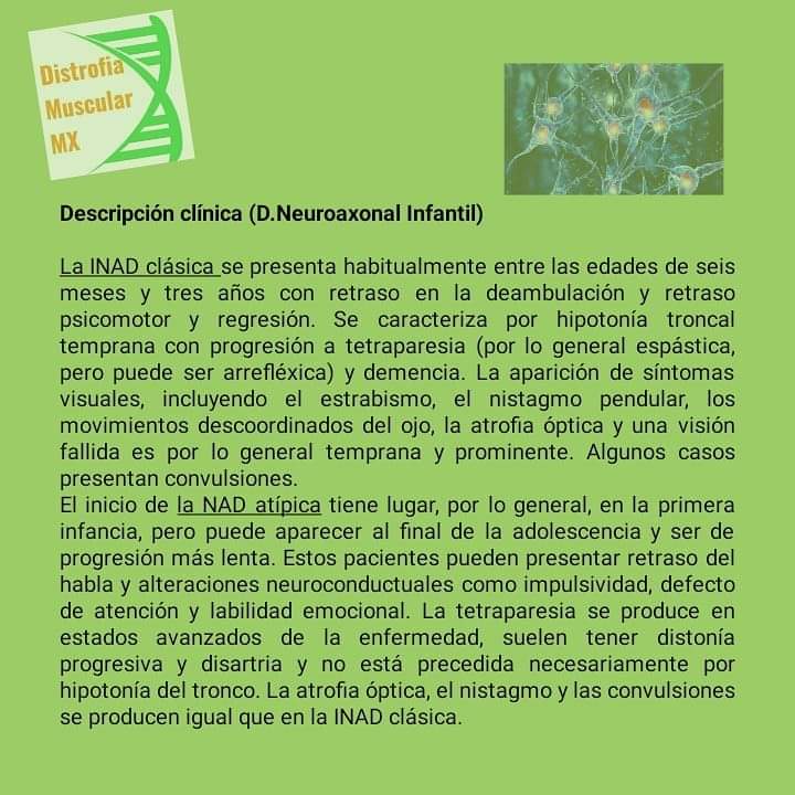 Distrofia Muscular Mx tweet media