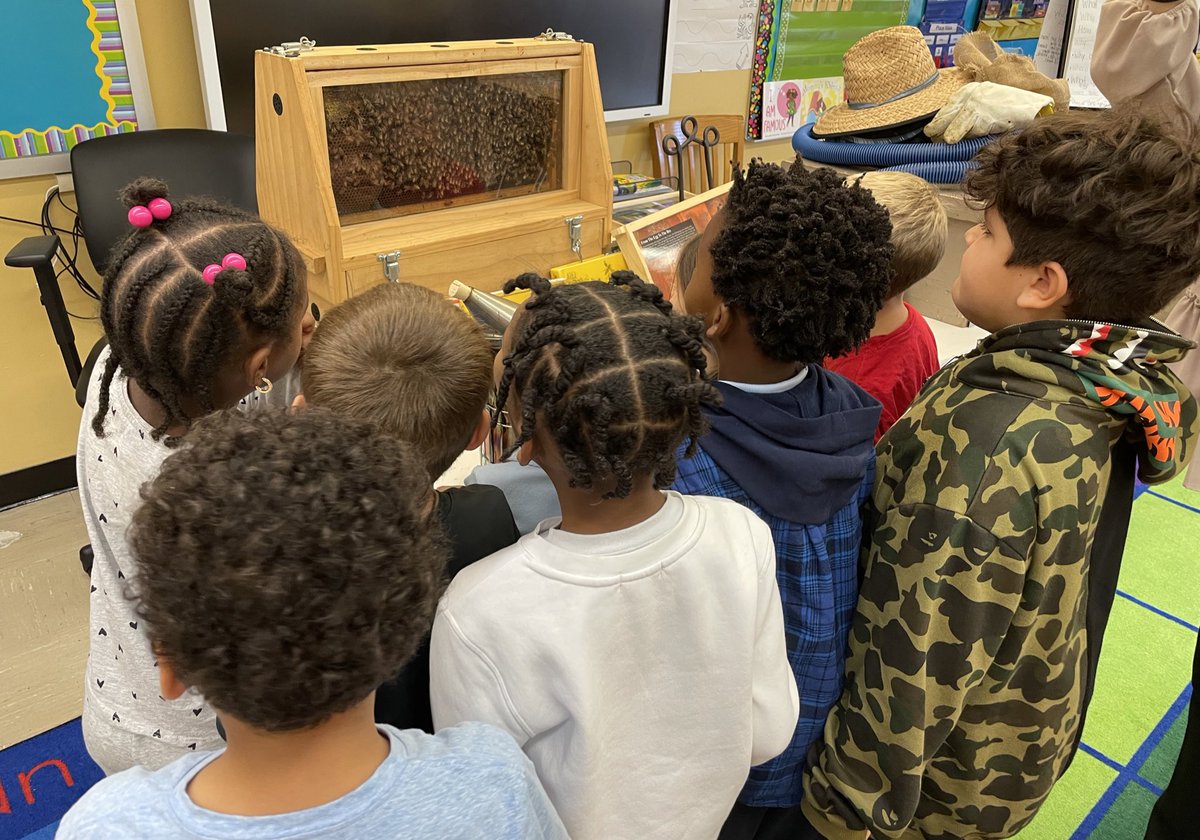 JMOcc24's tweet photo. UnBEElievably thankful for this man right here!👏🏻@aMaysing24 thank you, once again, for providing our students with such a wonderful experience. We learned so much about honeybees &amp; beekeeping! @NicoletteCaro 🐝🍯 #beekeeping #honeybees #science #nature #ecosystem #petridesproud https://t.co/Q70vGCVS8J