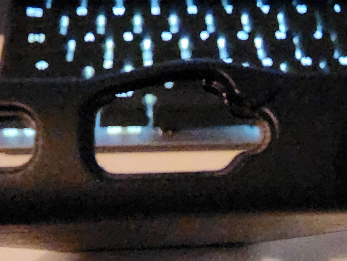 Daniel Rodriguez tweet media