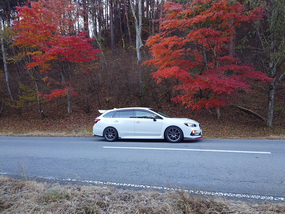 MiyaZx10r's tweet photo. #サイドショットグランプリ2022
#VMGC STISPORT
このスタイルになって1年ちょい。
さり気なく、そして少しだけ存在感を出す。
そんなイメージで・・・ https://t.co/IiStlVPP0V