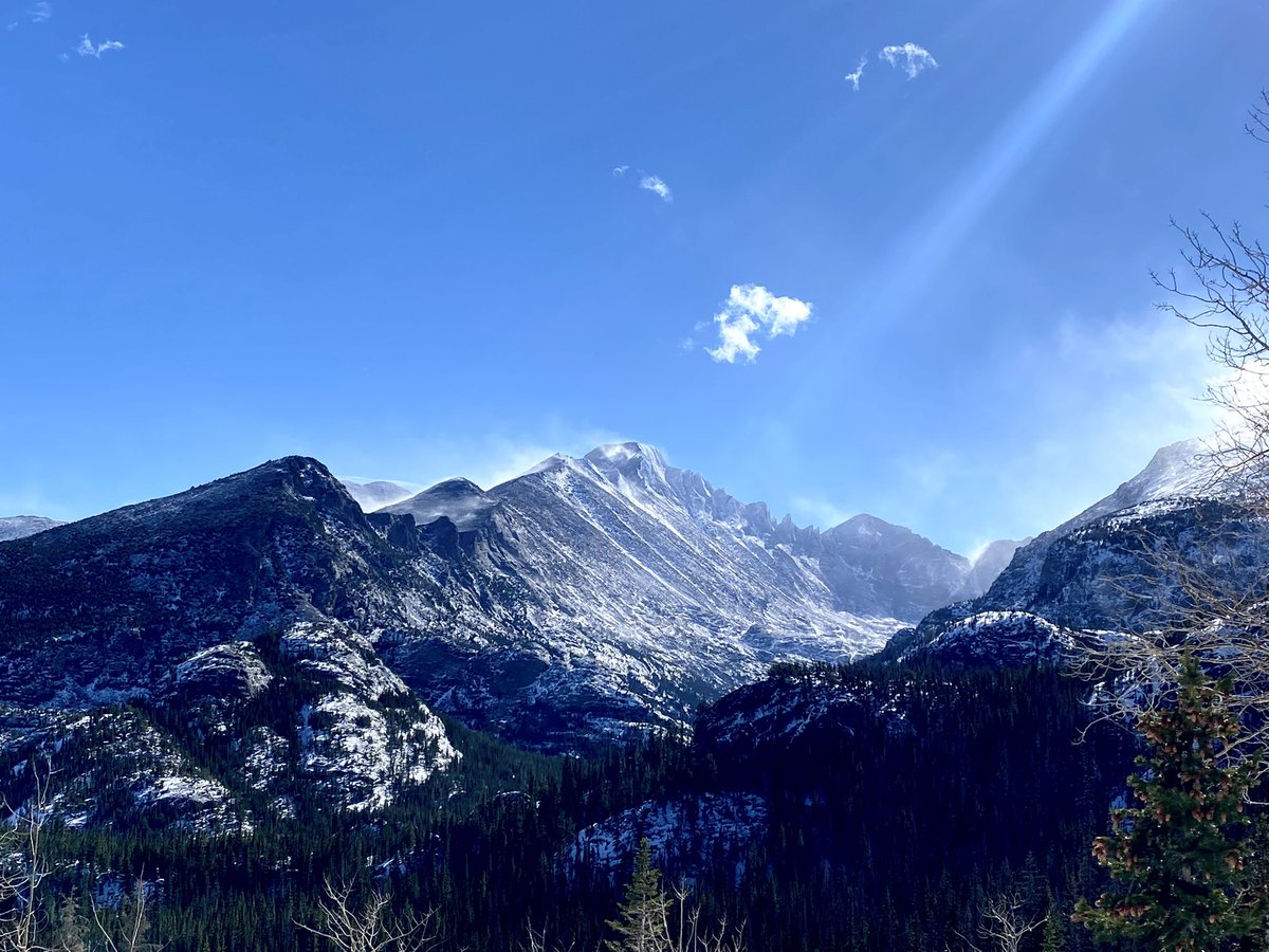 Julia Ferrante tweet media