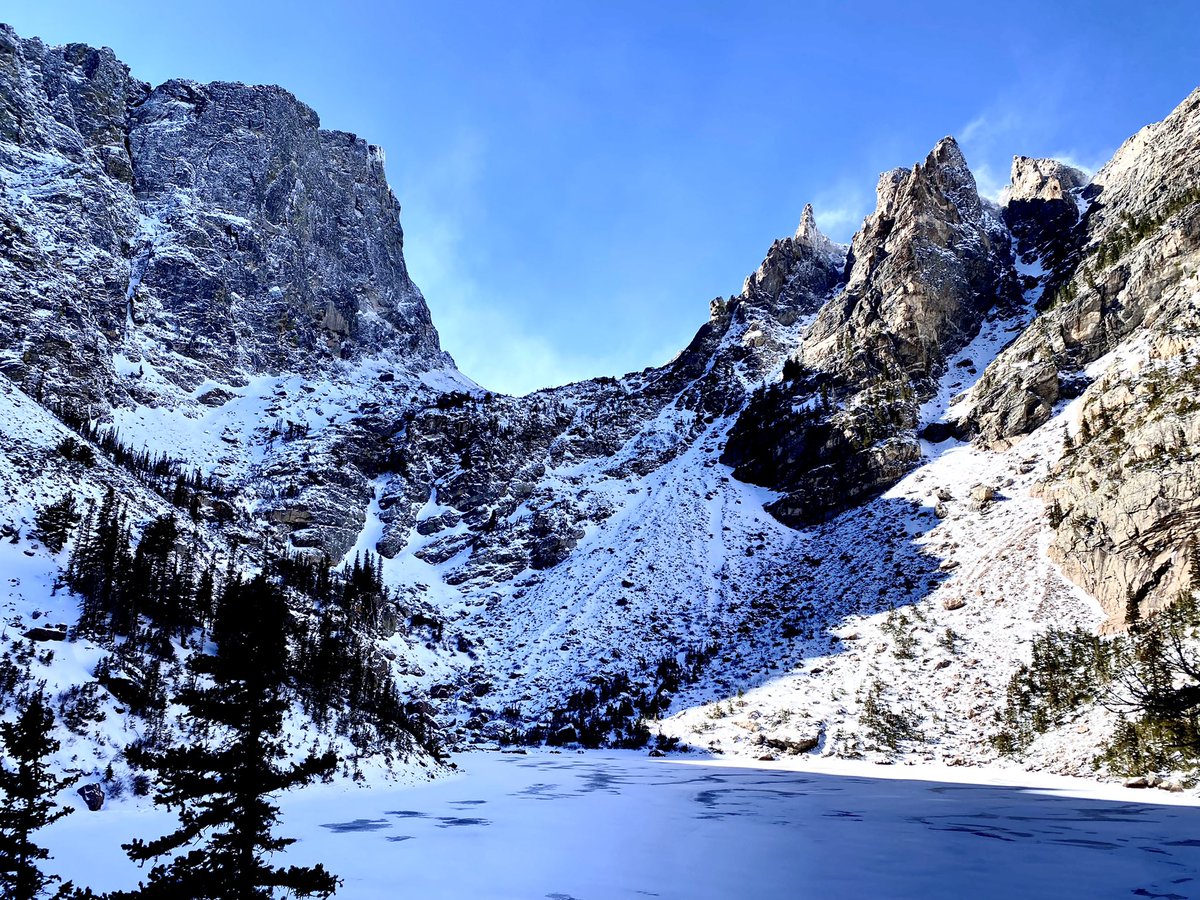 Julia Ferrante tweet media