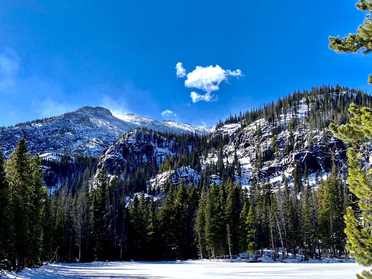 Julia Ferrante tweet media