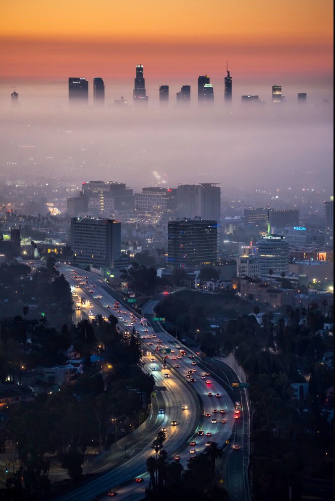 bay_photography's tweet image. Got a new pinned tweet would appreciate any shares/RT.

Appreciate all the support on my Los Angeles work.

Love you all 🫶

GN