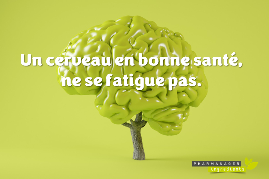 🔎Les consommateurs veulent améliorer leurs fonctions cognitives face au #stress qui joue sur leur #santé #mentale🧠
✅Eleutherococcus senticosus : Contribue à une circulation sanguine normale, qui est associée aux performances et à la réactivité du cerveau