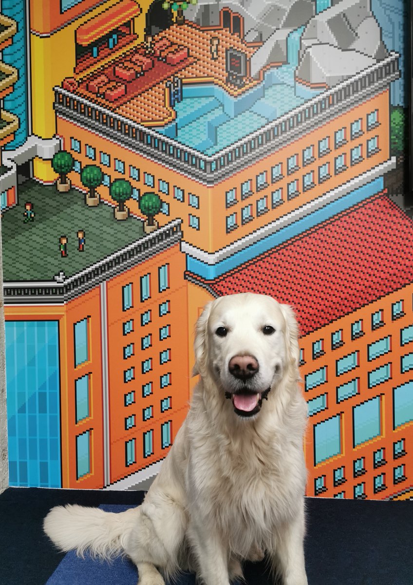 This is Luca 🐶

Loves eating, sleeping and <a href="/Habbo/">Habbo</a>.

Wants to know if you're selling any food-related furni.