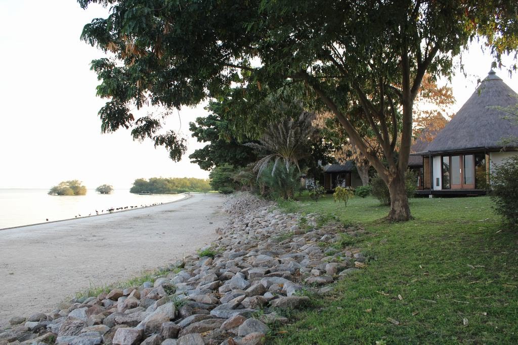 jfaairbus's tweet photo. #LakeVictory #LagoVictoria #Tanzanie #Tanzania https://t.co/E1nPa1SpBY