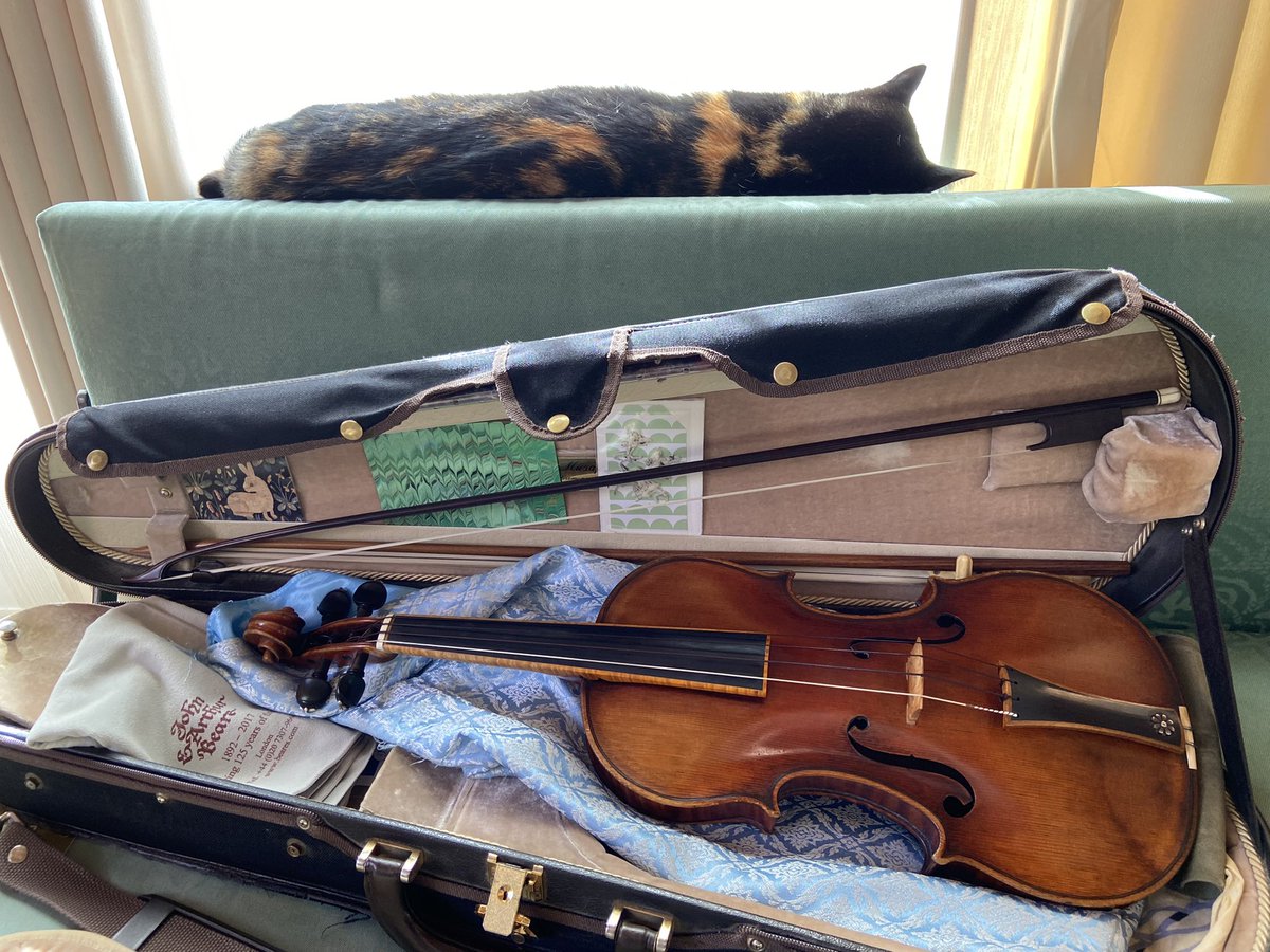 arcomelo2013's tweet image. Vita da Gatti
@gatti @cats @chats @gatos @katzen @violin