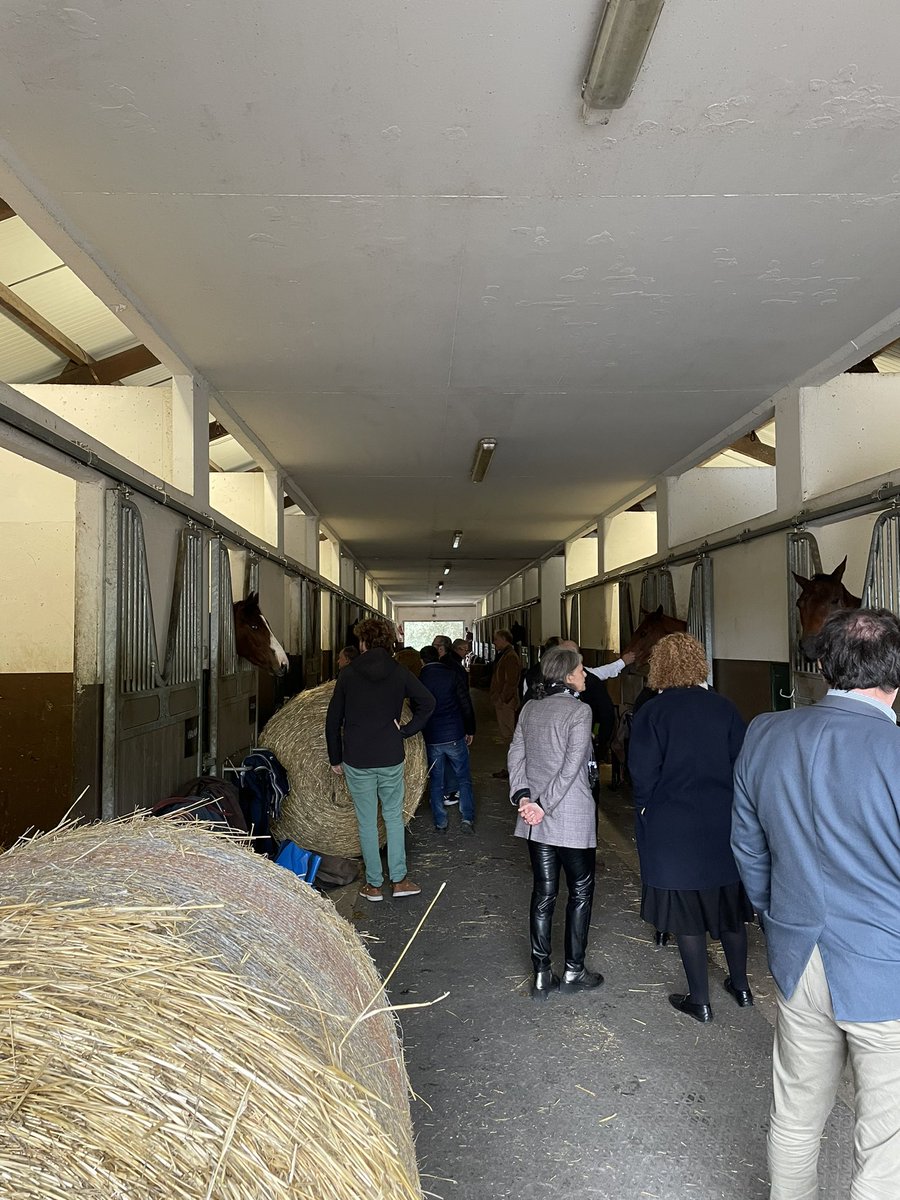 G Herrnberger tweet media