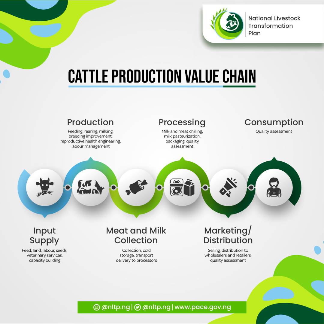 NLTP_NG's tweet photo. Where do you belong in the value chain? 

There is money to be made! 

Wake up!

#NationalLivestockTransformationPlan
#NLTP https://t.co/oy82urkGj0