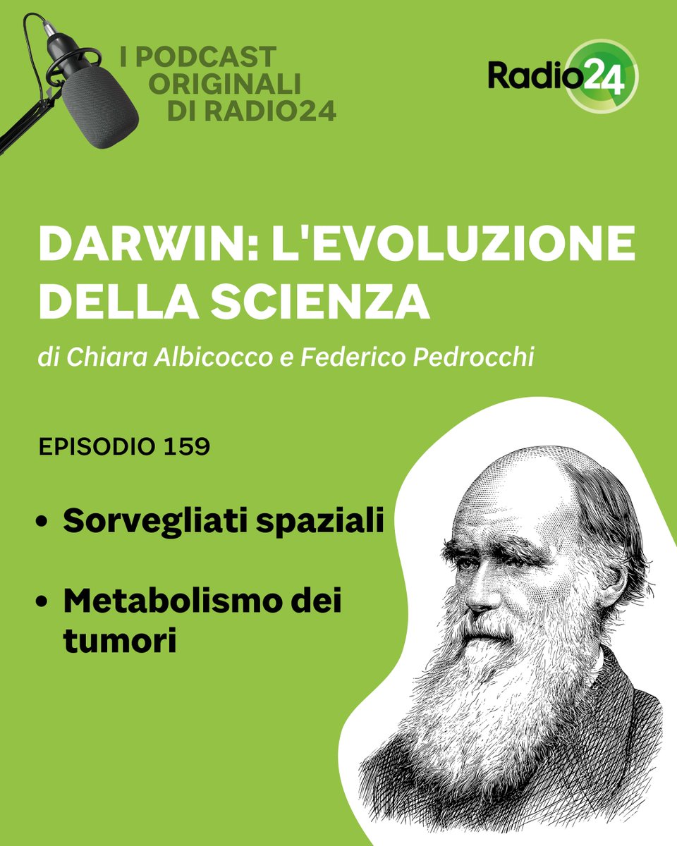 Radio 24 tweet media