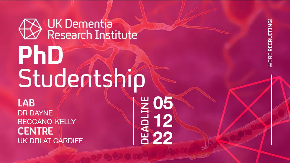 UKDRI's tweet photo. 💡 Applications are open for an exciting PhD project at the UK DRI at Cardiff! Join Dr Dayne Beccano-Kelly's lab (@DayneBeccano) and investigate synaptic function and neurotransmitter release in Parkinson's disease👉 https://t.co/MG11NOIq5x https://t.co/dYfmDklIzI