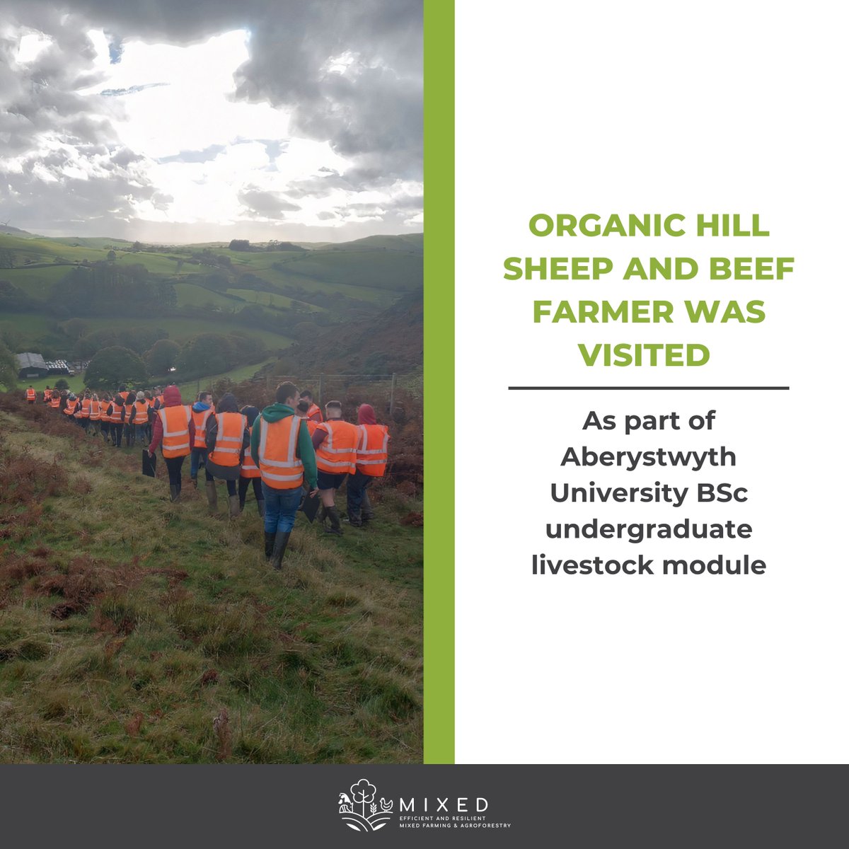 🗣 IBERSagri Livestock Production students heard recently how the Woodland Trust Cymru, through the MOREhedges Scheme, that is working with a local #organic hill sheep and beef farmer in Wales.

👉 Find out more: ow.ly/LitI50LvLpH
