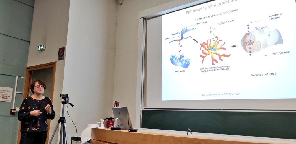 FrenchPurine's tweet image. Sylvain Routier et Sylvie Chalon continuent en duo pour l&apos;identification de nouveaux ligands de #P2X4 @UnivTours @DSIN_UnivNantes @Univ_Orleans @iBrain_Inserm @CNRS @Inserm @iron #FPC2022