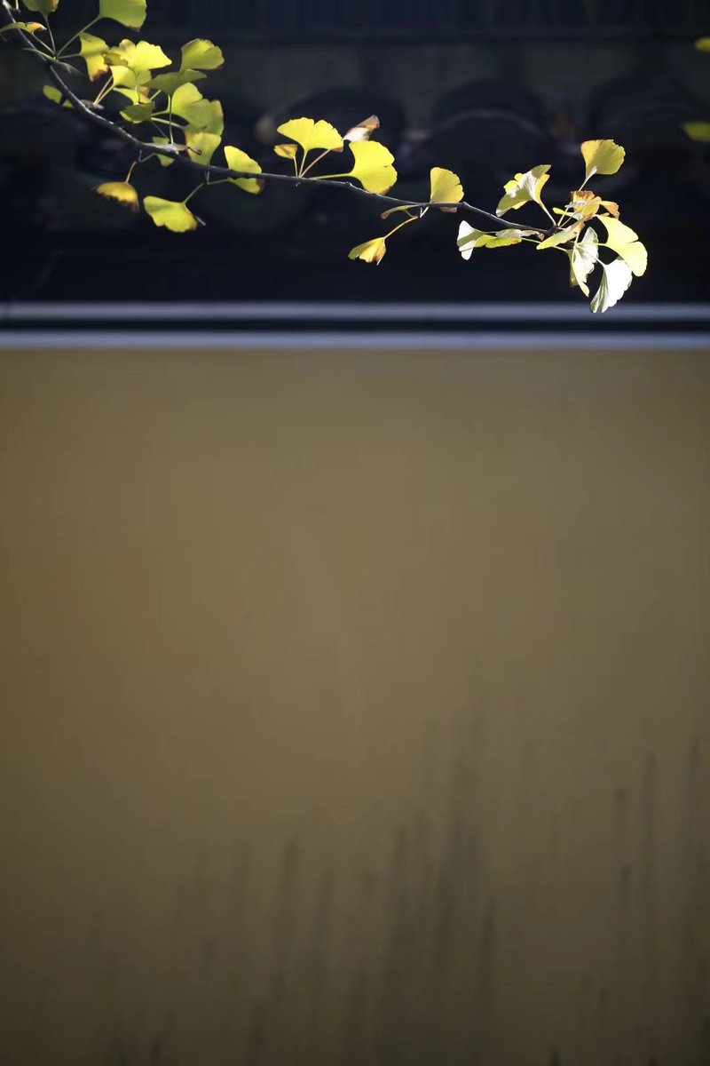 @ttsofiatt1 (@ttsofiatt11) on Twitter photo 