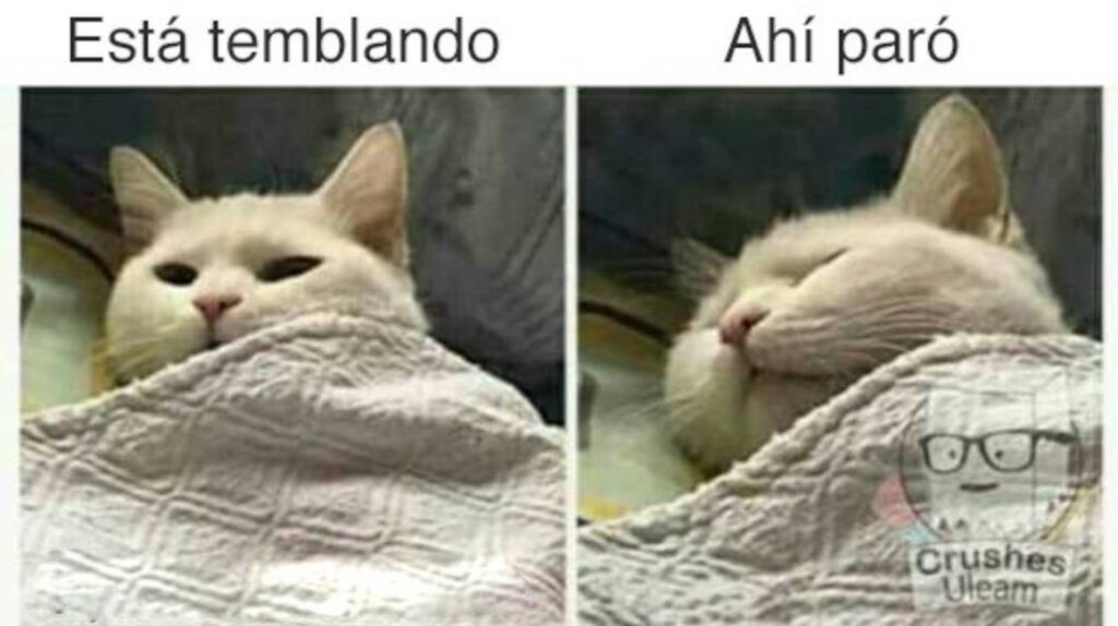 OtakuLR's tweet photo. #temblor zzzz https://t.co/VwS5xqsNHc