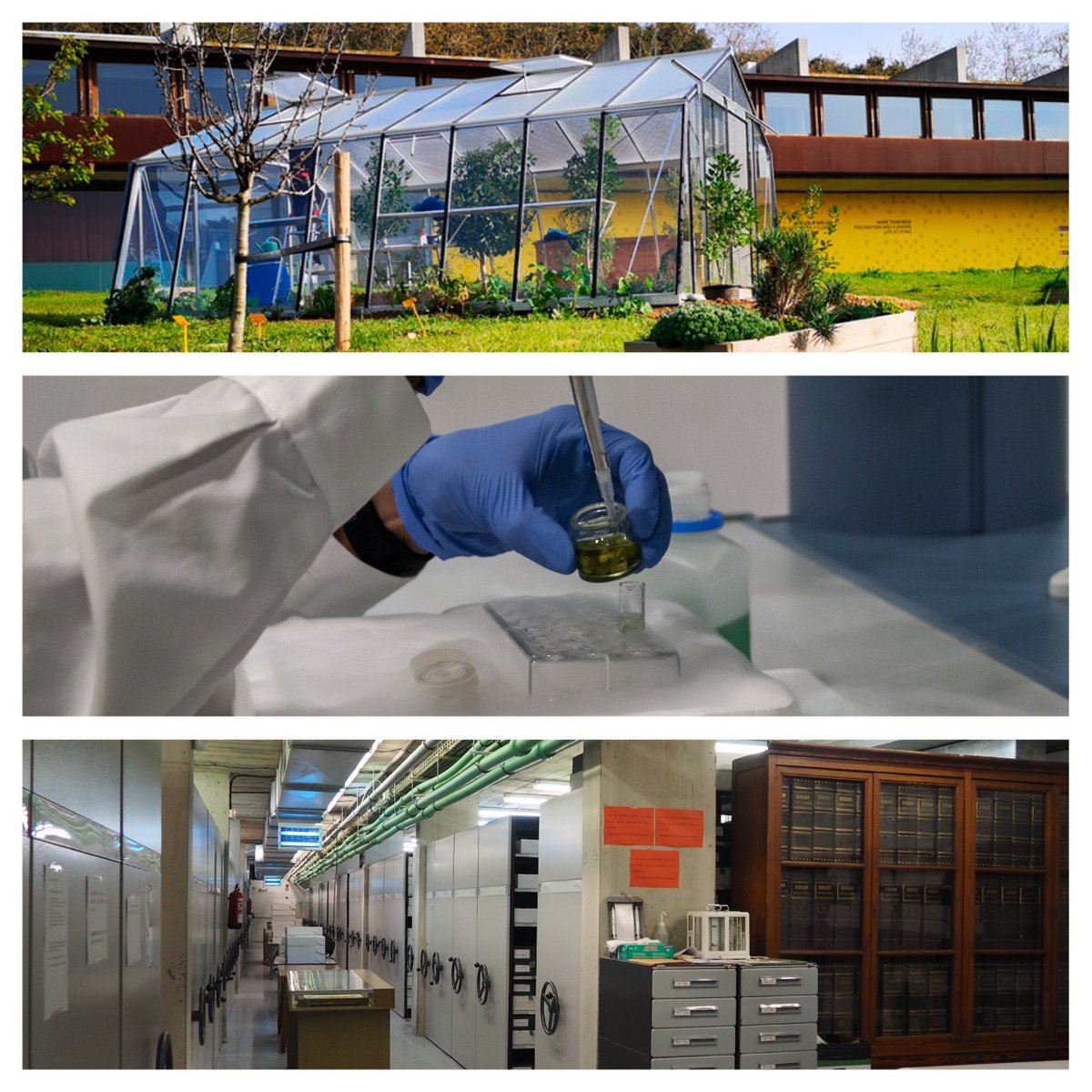 <a href="/fundaciorecerca/">Fundació FCRI</a> <a href="/ACCC_/">Associació Catalana de Comunicació Científica</a> <a href="/BiolegsCAT/">Col·legi de Biòlegs de Catalunya</a> 🦋⚗🌿 Visites guiades: un tast a la recerca en biodiversitat i evolució de l'IBB

📅 Diumenge 13 de novembre
⏰ d'11 a 14h (45 min per equipament)
📍 IBB (entrada i sortida pel Jardí Botànic)
📝 Cal inscripció prèvia: ibb.csic.es/ca/2022/11/un-…