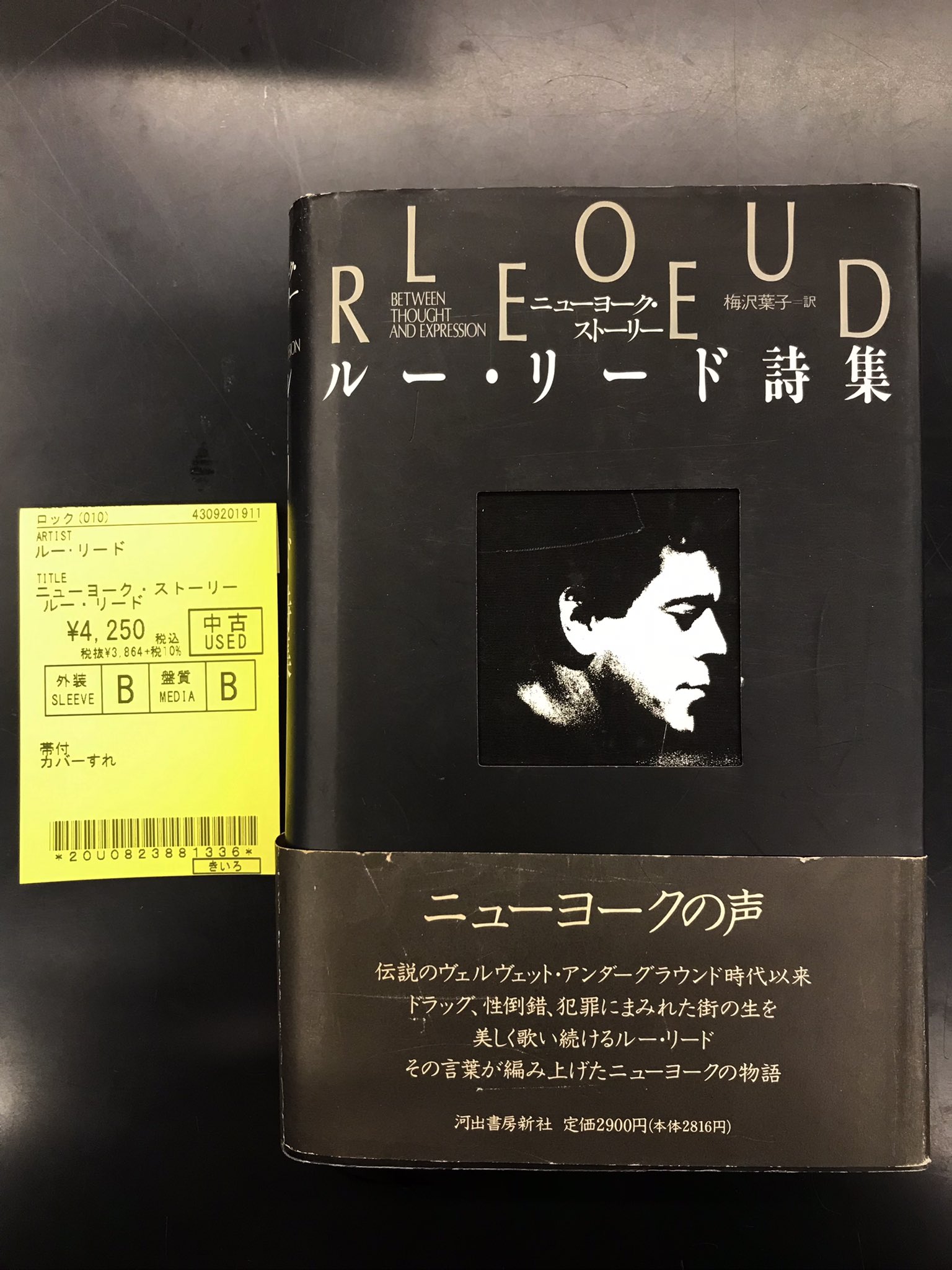 ルーリード詩集 ニューヨークストーリー - その他 ルーリード詩集 ニューヨークストーリー - その他