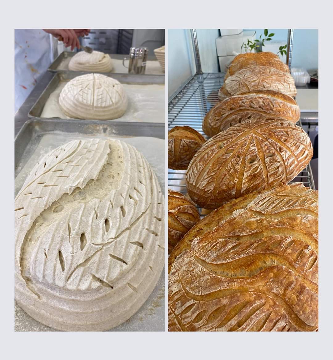 Fresh from the oven!
#foodart #local636 #sourdough
#artistsontwitter