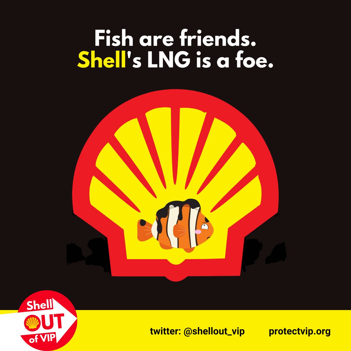 Shell: Out of VIP! tweet media