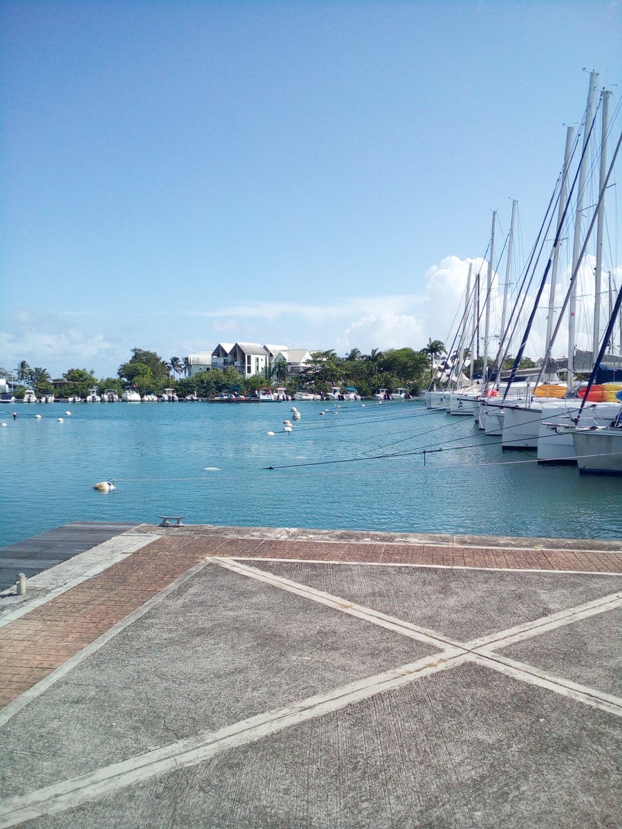 Blog Slovenija🇸🇮 on Twitter "RT DrPogacnik Marina BasduFort