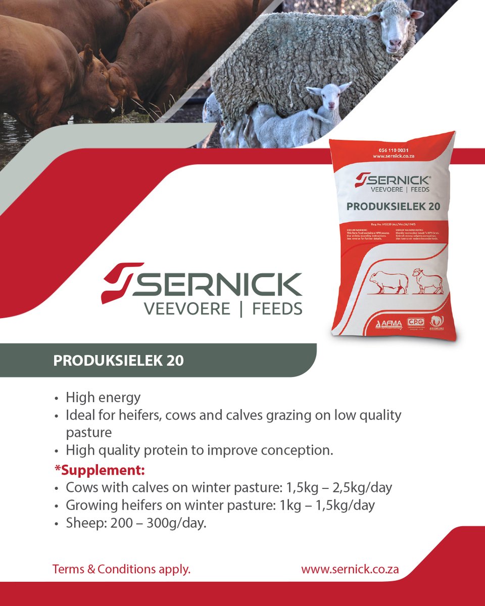 Sernick Feeds recommends Production Lick 20 for lactating cows during Nov/Dec. Supplement until it has rained sufficiently. Production Lick 20 is available at promotional prices. Contact your Technical Advisor here: bit.ly/3SOc9Xu