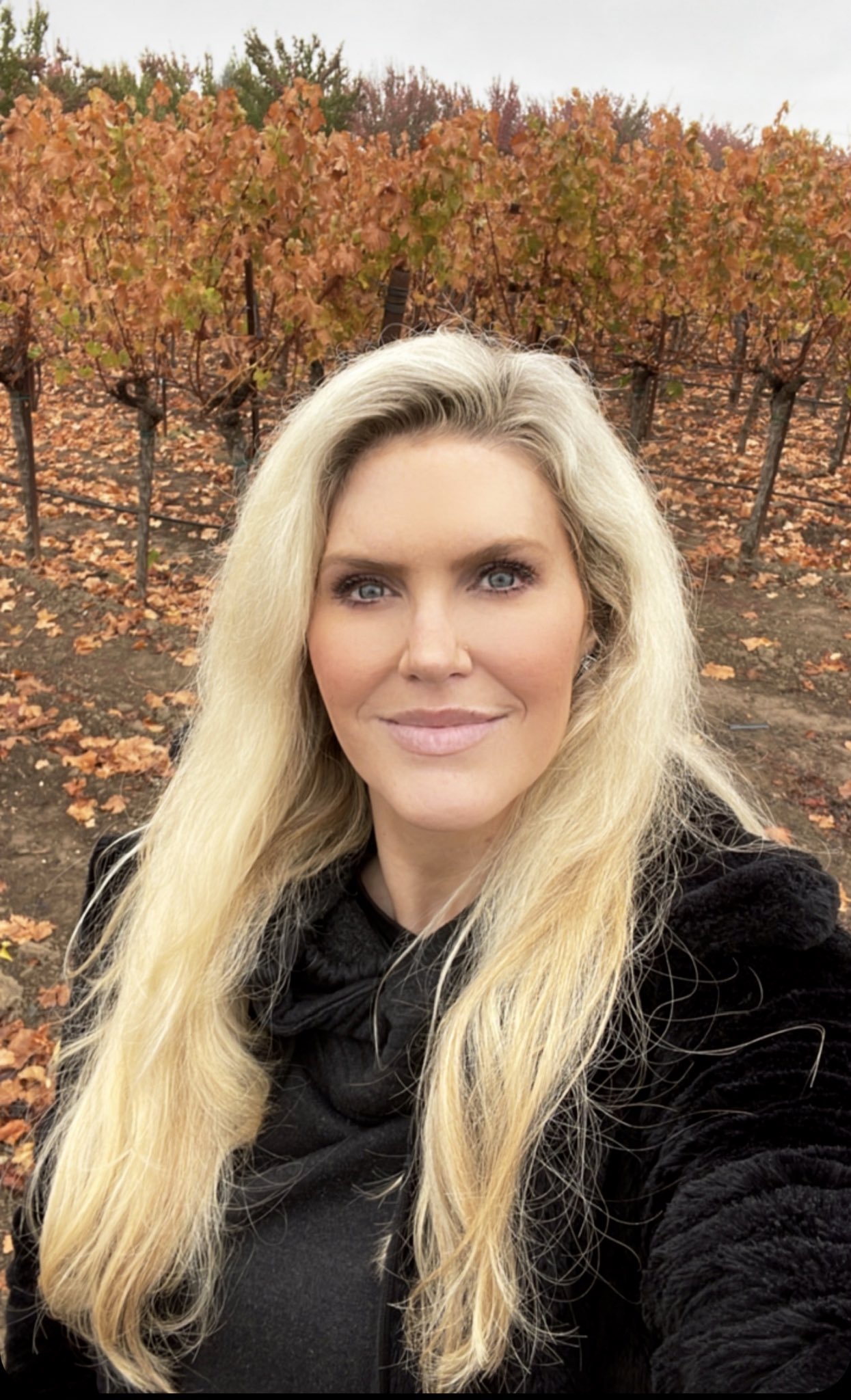 Jennifer Matthews On Twitter A Rainy Fall Day In Napa Https t jennifer-matthews-on-twitter-a-rainy-fall-day-in-napa-https-t