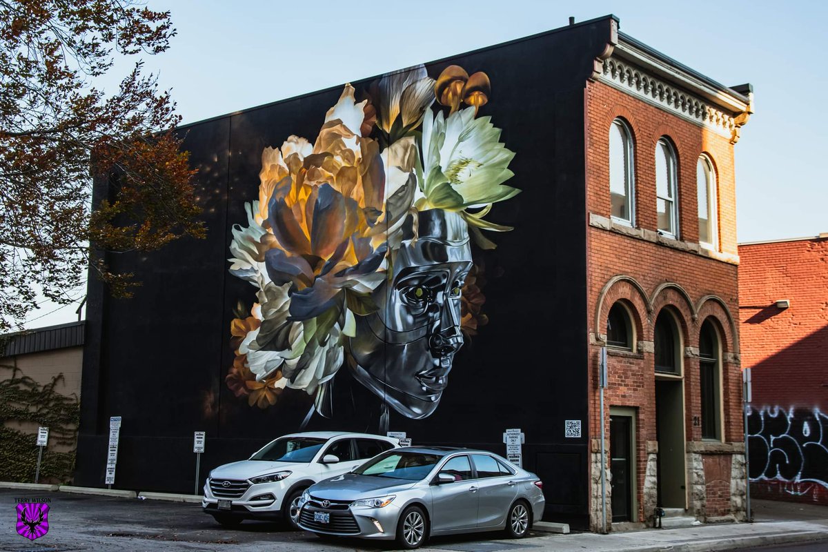 An amazing mural downtown #HamOnt #Hamilton #art #StreetArt