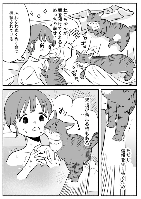 心配してお風呂を見に来てくれるねこちゃんのことが心配