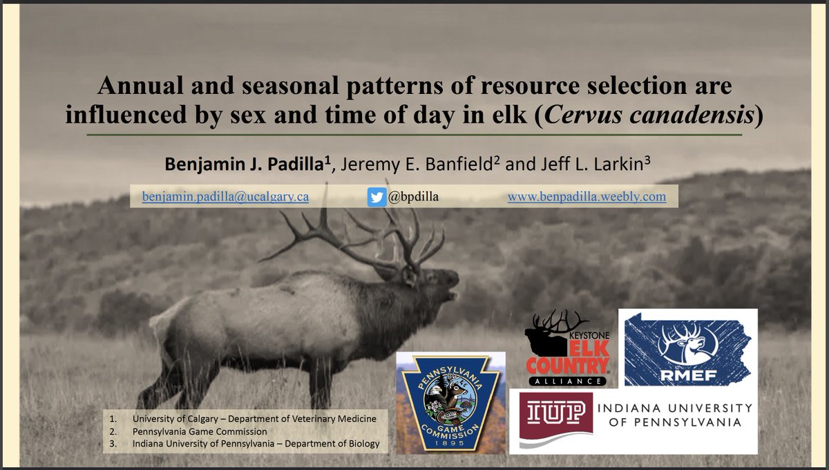 I know there are *way* too many great talks overlapping tomorrow, but if you are interested in elk, or spatiotemporal variation in resource selection and you arent too wiped by the end of the day come check out my talk! I’m in the Spatial Ecology and Modeling session at 4:30 pm!