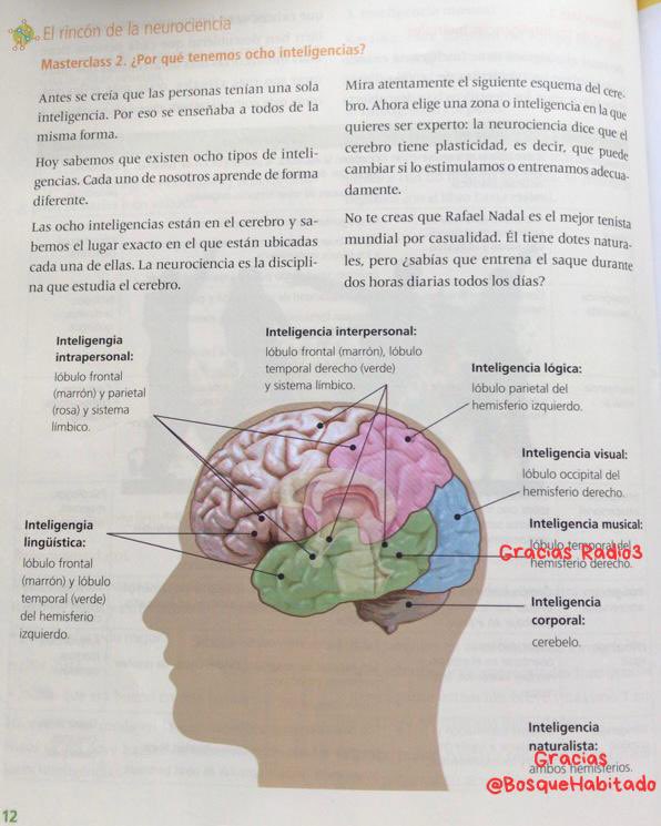 <a href="/BosqueHabitado/">El Bosque Habitado</a> 🙌🏽🙌🏽🙌🏽
<a href="/radio3_rne/">Radio 3</a>

Gracias 🙏🏼