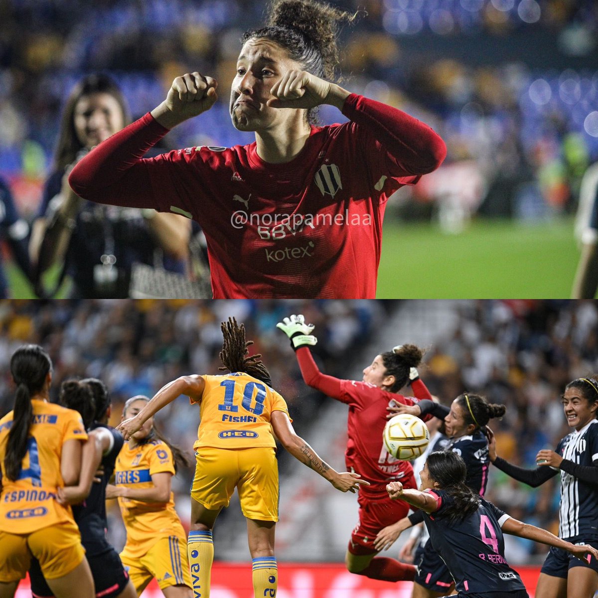 Pello Maldonado tweet media