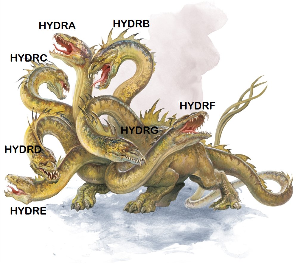 I had this dumb idea yesterday ⚔️🧙🏻‍♂️ credit to: High_Stream #dnd  #gamenight #5e #dice #wizardsofthecoast #meme #cleric