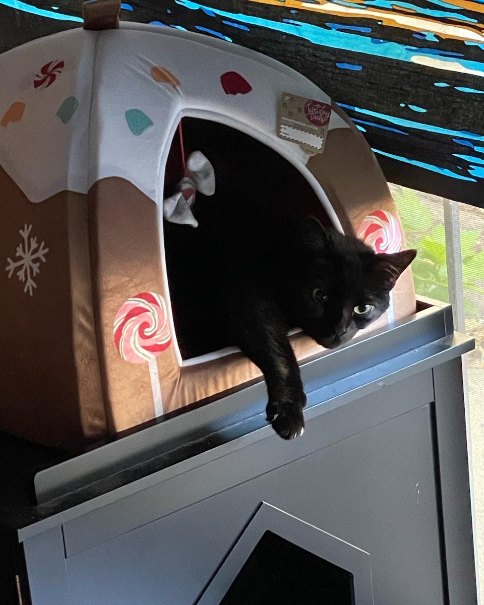 tally_beoulve's tweet photo. @NISAmerica Raine with the remote, Rory looking contemplative, Midi looking sus…#TrailstoAzure #CrossbellPets https://t.co/3PsMYTg2t7