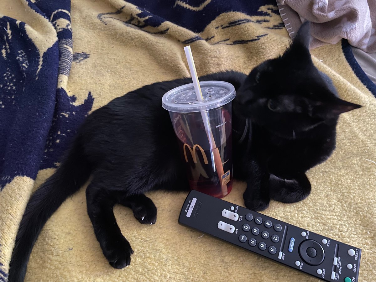 tally_beoulve's tweet photo. @NISAmerica Raine with the remote, Rory looking contemplative, Midi looking sus…#TrailstoAzure #CrossbellPets https://t.co/3PsMYTg2t7