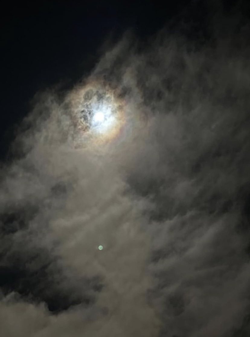 thisteacupp's tweet photo. Moon-child 🌝 https://t.co/kdSqxmwuvH