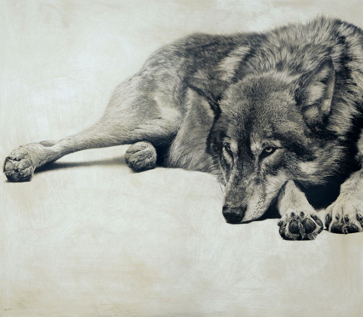 Волк лежит эскиз