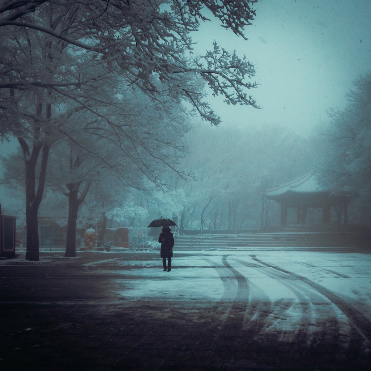 Irtaza Hussain( ISOLATED SOULS) tweet media