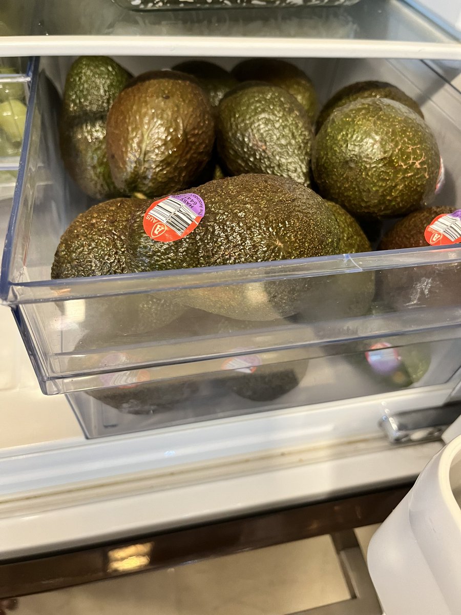 SanjayBooth's tweet photo. Benefits of travelling with @AvocadosAu Growers - help with selecting the best tray to purchase from the market and tips on storage and ripening. Well stocked up for a couple of weeks #AvoToast #AvoSalad https://t.co/bjcTQ8a9QE