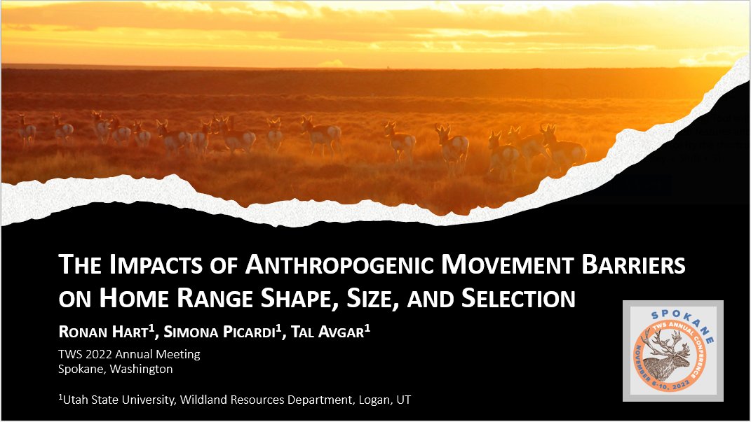 People at #TWS2022, I'm presenting tomorrow at 8:45am in the Spatial Ecology and Modeling: Habitat Selection I session! I'll be talking about the first chapter of my thesis on road and fence effects on pronghorn and mule deer space use!