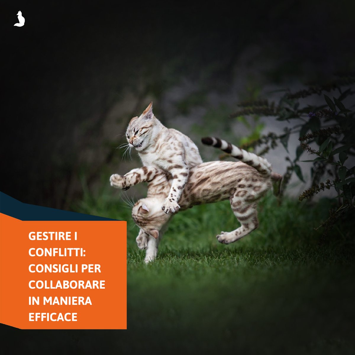 Foxwin_eu's tweet photo. Vincere o perdere? Non parliamo di #elezioni ma di #conflitto e la sua risoluzione non avviene mai con un vincitore ed un perdente ma solo grazie a #Condivisione, #Collaborazione e #Comprensione. 
Ne parliamo meglio qui: 
https://t.co/53AfcaQluF https://t.co/3vgoRAyKwx