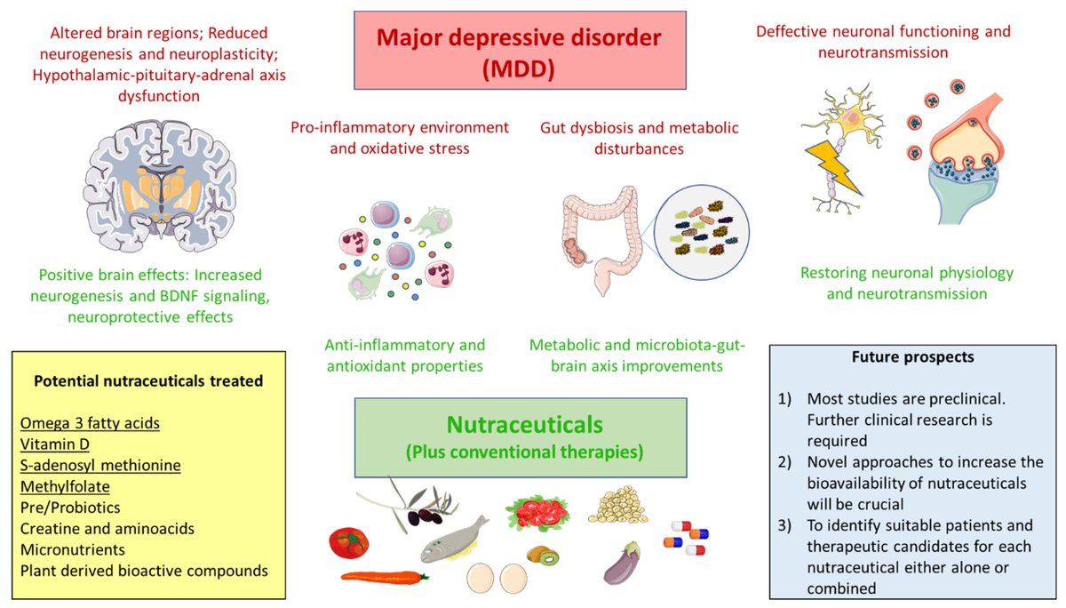 📰Take a look at our #HighlyCitedPaper by Miguel A. Alvarez-Mon et al. "Exploring the Role of #Nutraceuticals in Major #DepressiveDisorder (MDD): Rationale, State of the Art and #FutureProspects"

Full text is available at:
👉mdpi.com/1424-8247/14/8…