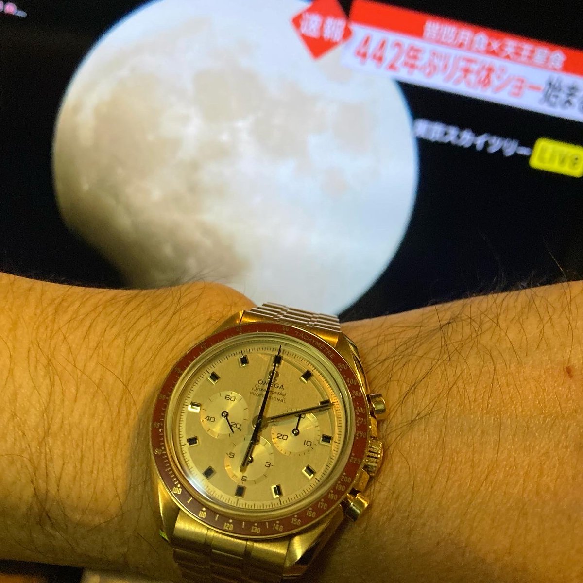 rc30kai's tweet photo. 11月8日
今夜は満月ですが 
#皆既月食 442年ぶりらしい 
毎週火曜日 は
#スピーディーチューズデー
#オメガスピードマスター 
#speedytuesday 
#オメガ #OMEGA 
#TheFirstWatchOnTheMoon 
#Apollo1150thAnniversary 
#スピードマスタープロフェッショナル #SpeedMasterProfessional 
#腕時計魂 #腕魂 https://t.co/73ddpuAjdW