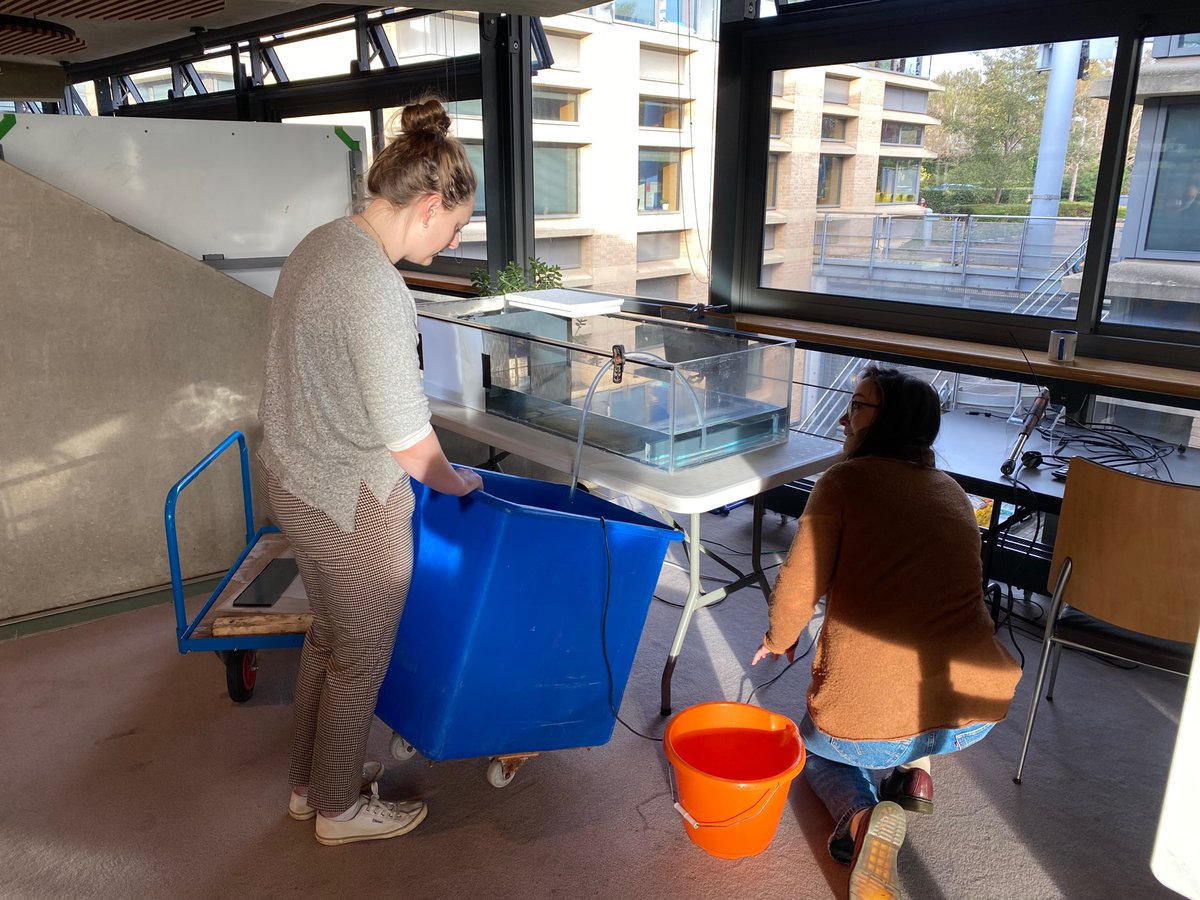 TAPASNetwork's tweet photo. #WorldVentil8Day is raising awareness of the importance of ventilation for healthy buildings and occupants.
@Cambridge_Uni team are busy preparing a live water tank experiment to visualise air flow through a bedroom window ๐ More to come!
#DAMTP @SAMHEProject @WorldVentil8Day https://t.co/hsWWn2bzw0