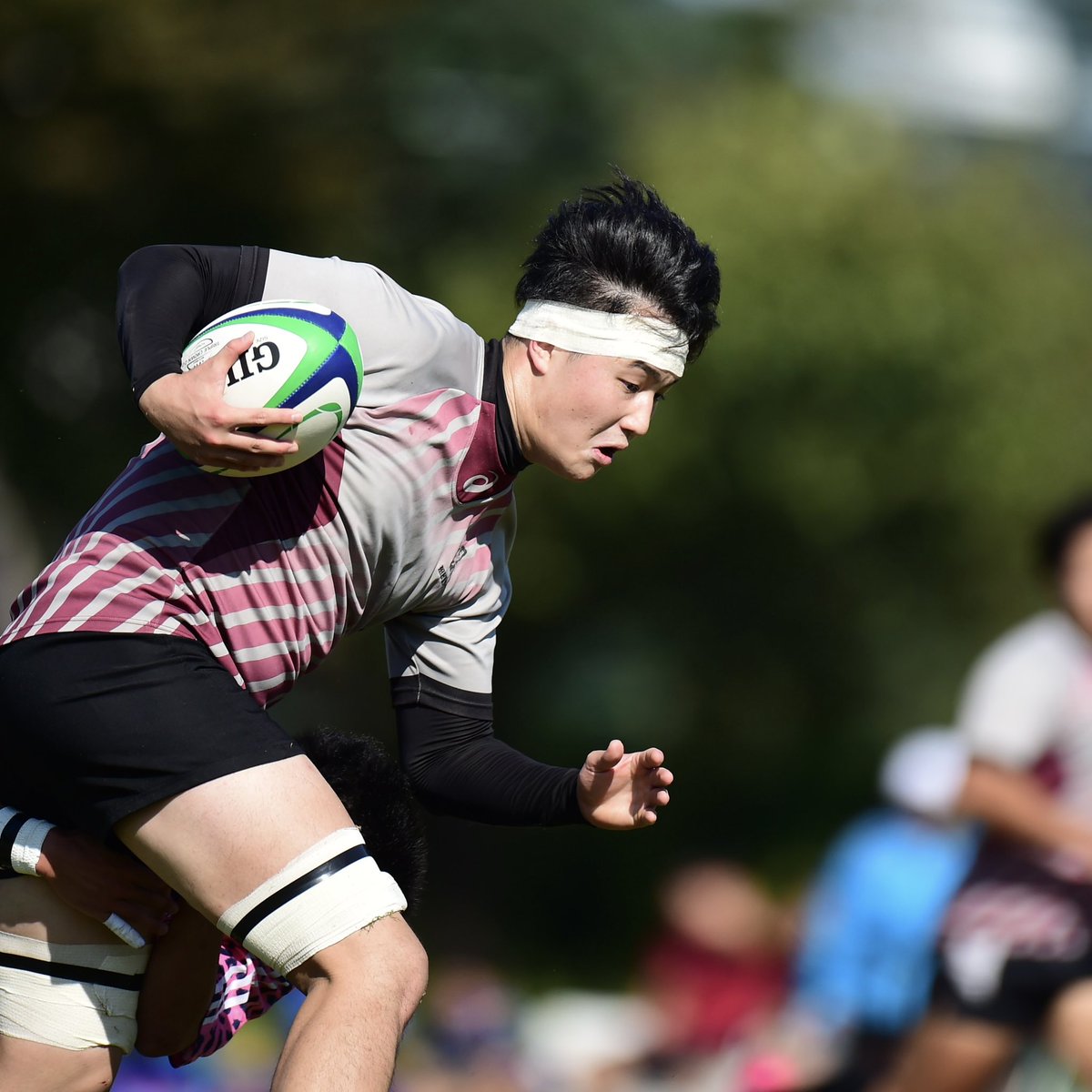 早稲田大学ラグビー蹴球部 トレーニングジャージ ウィンドブレーカーL