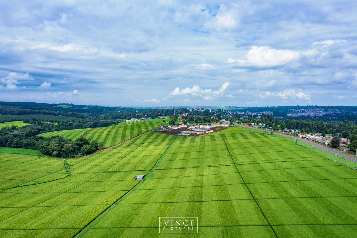 VinceChepkwony's tweet photo. K E R I C H O ๐ฐ๐ช๐ฐ๐ช๐ฐ๐ช
The land of tea #County035 #KerichoCounty https://t.co/ZRXLhpkKmM